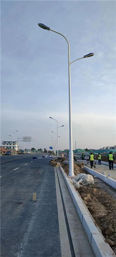 石家莊開發區倉巖街與倉盛路太陽能路燈